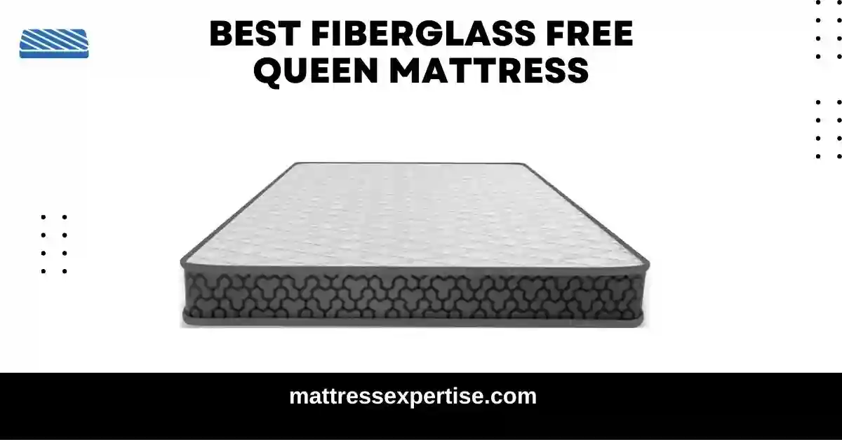 Best Fiberglass Free Queen Mattress